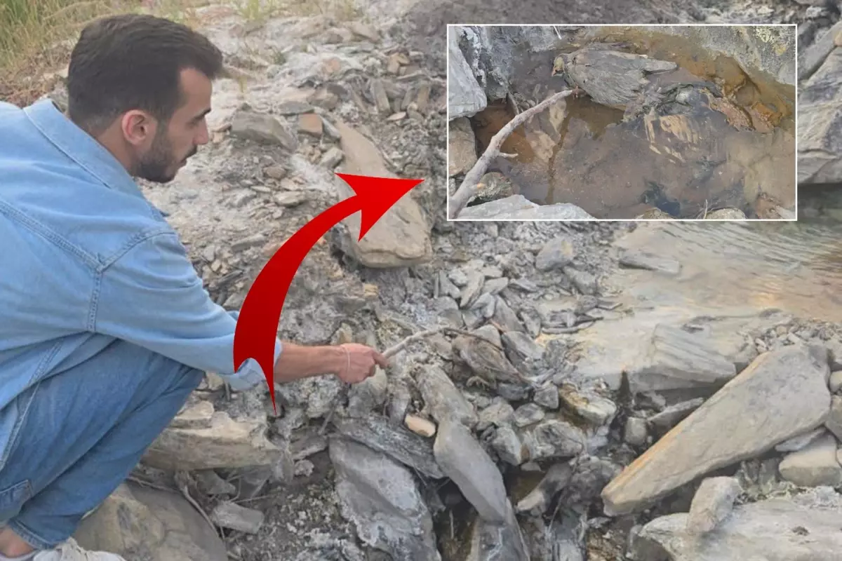 hakkaride gizemli vadi insanlara sifa hayvanlara olum getiriyor 3OYVWZzB