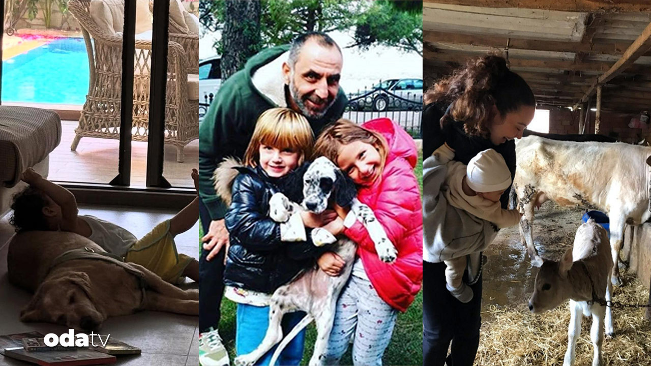 unlulerin cocuklari ve hayvanlariyla renkli kareleri 58FSXMWB