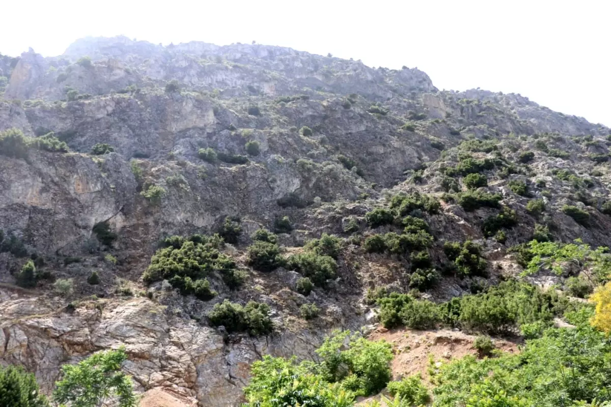 ispartada kaybolan 75 yasindaki adam icin arama calismalari baslatildi bQtIS2aU.jpg