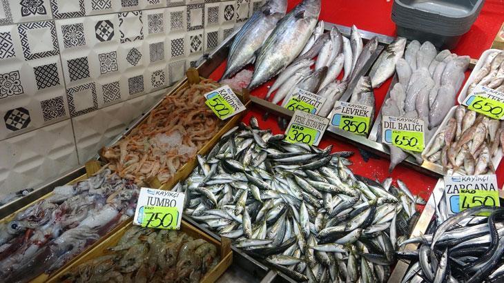 karadenizde hamsi populasyonu yogun 7YJnjKkC.jpg