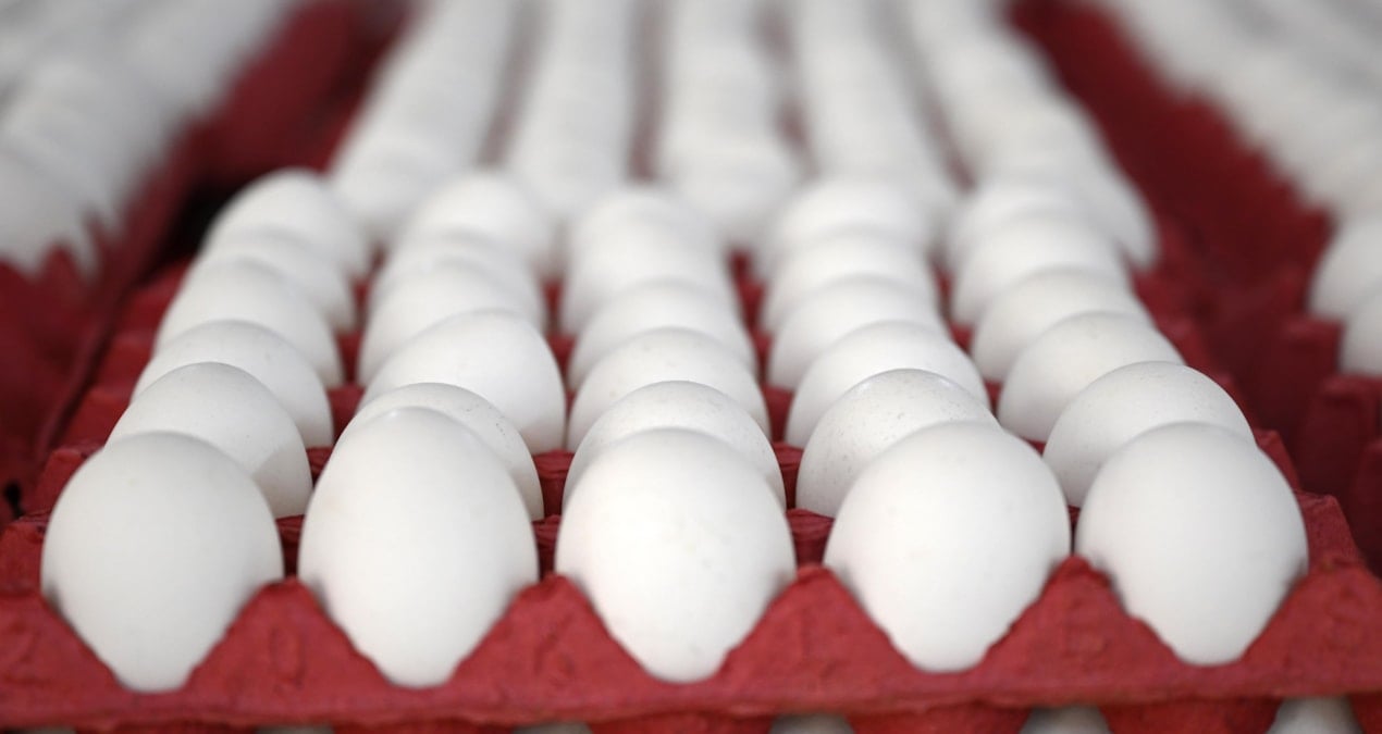 yumurtaya zam gelecek mi en yetkili isim acikladi eq4ecrRn.jpg