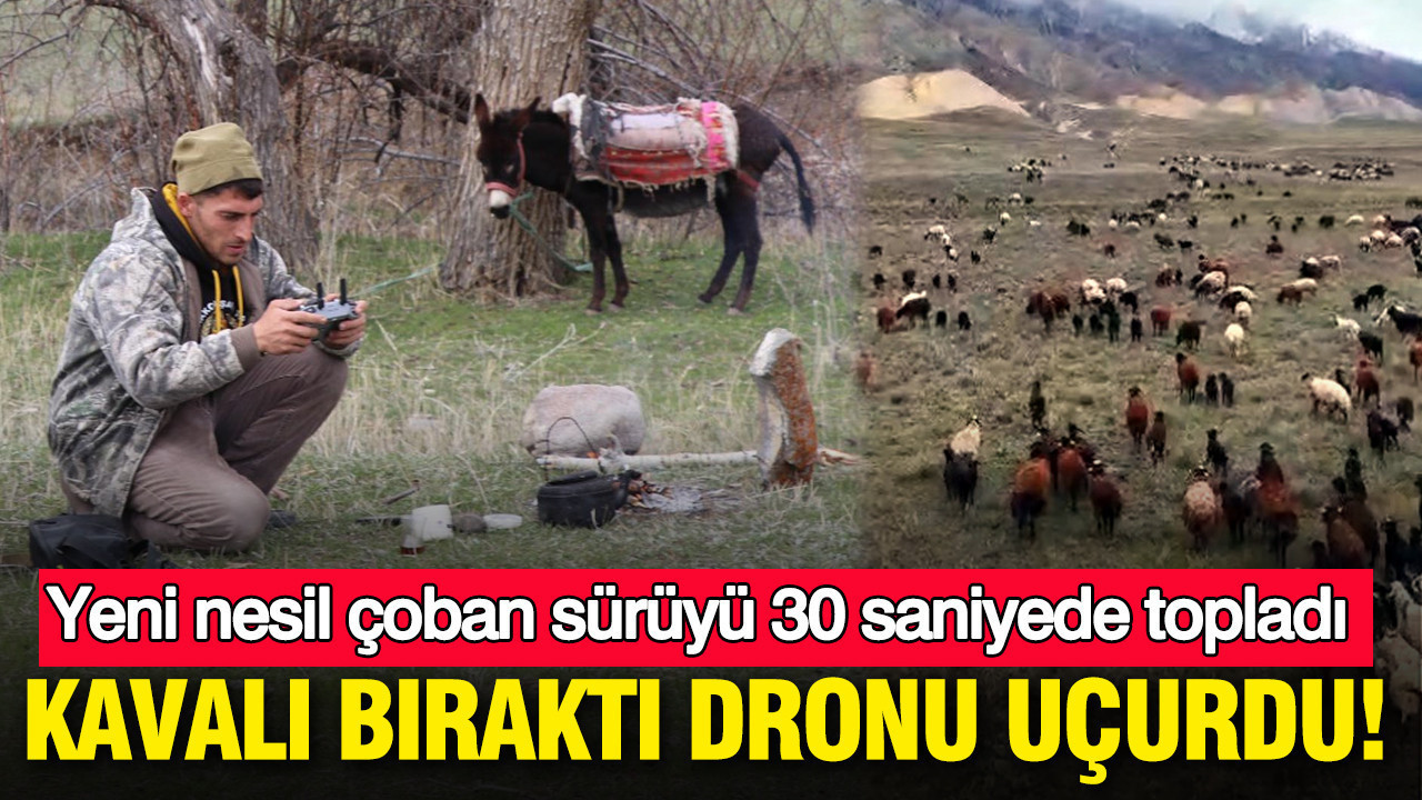 Dron ile Çobanlık: Sürü 30 Saniyede Toplandı