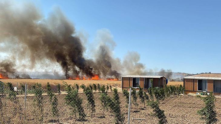 Tekirdağ’da tarlada çıkan yangın baraka ve konteynerlere sıçradı