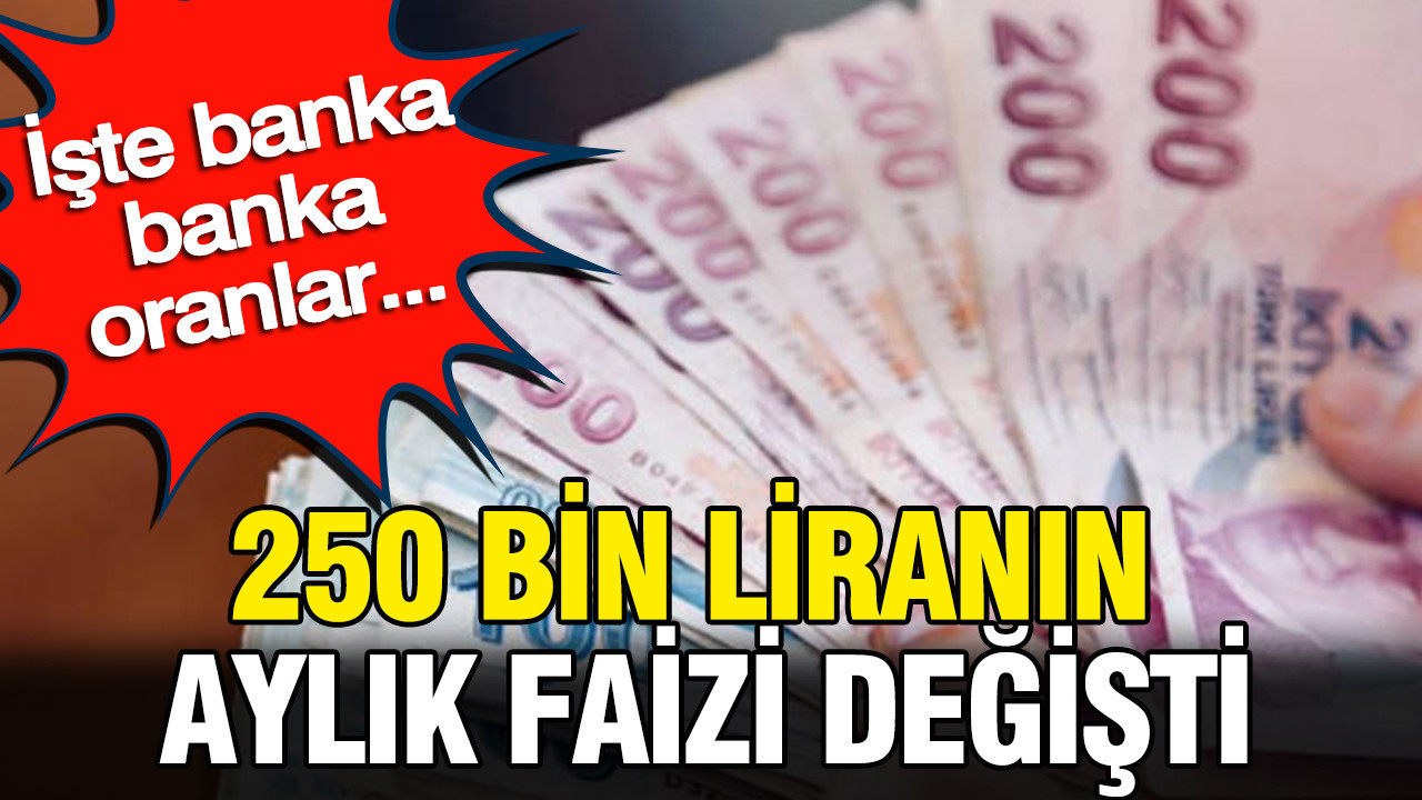 250 bin liranın aylık faizi uçtu: İşte banka banka oranlar… Img